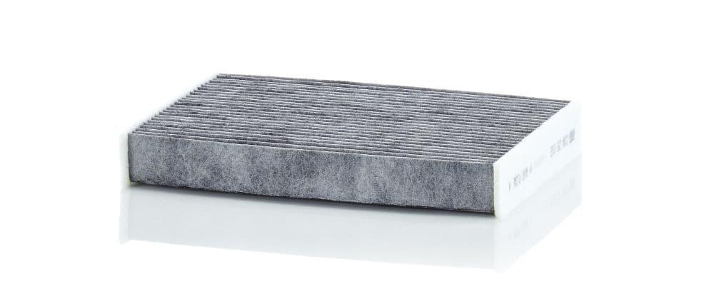 Filtru, aer habitaclu MANN-FILTER CUK 25 012