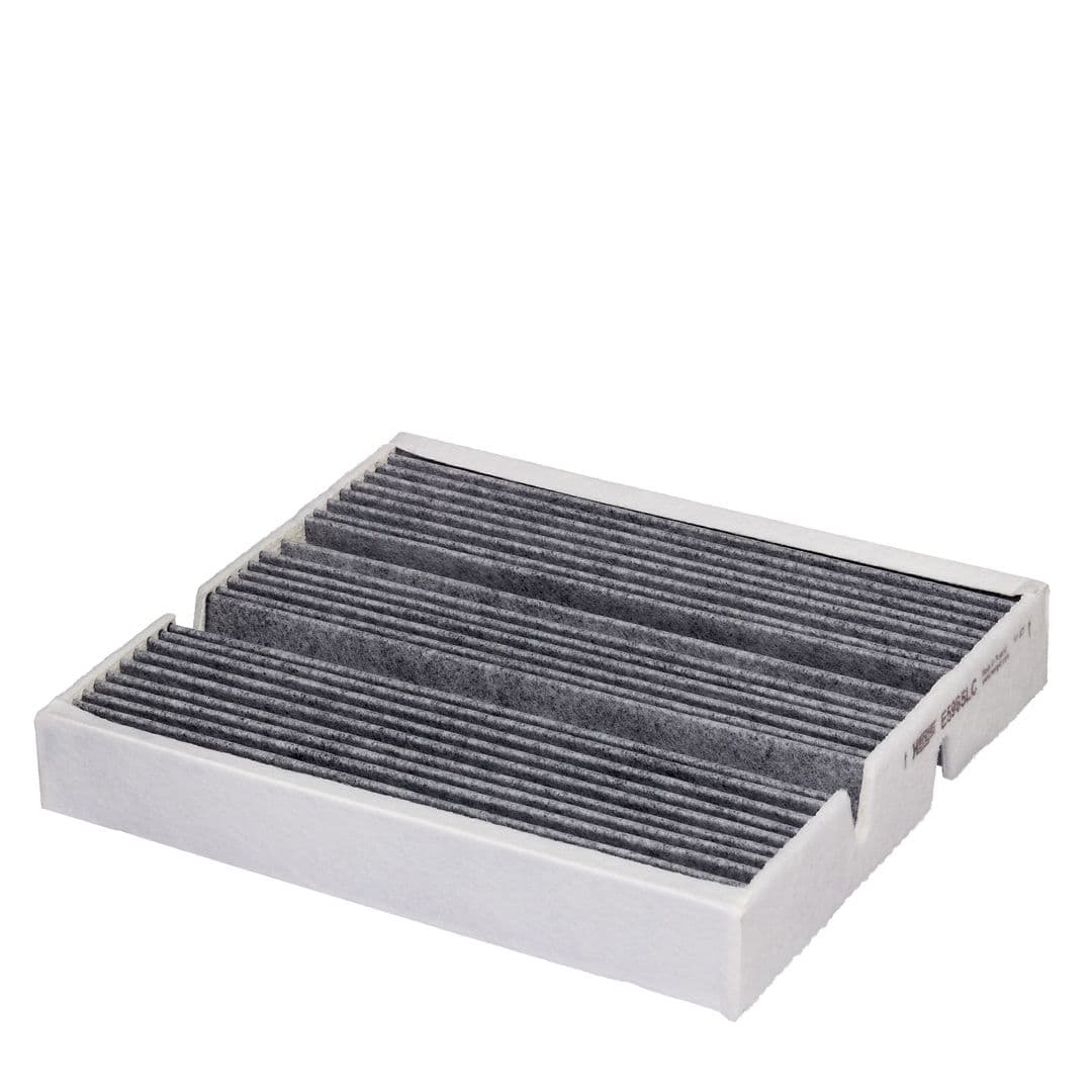 Filtru, aer habitaclu HENGST FILTER E5965LC