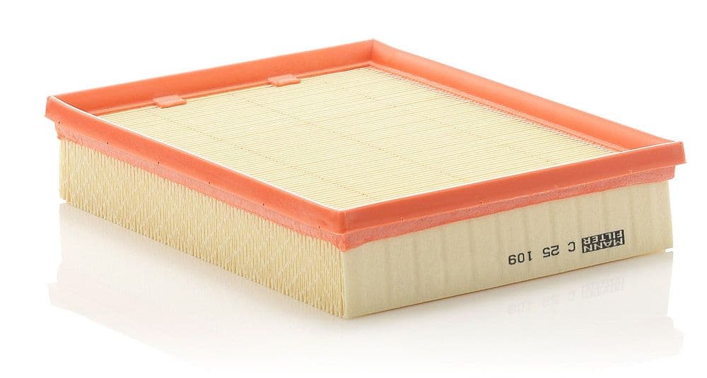 Filtru aer MANN-FILTER C 25 109