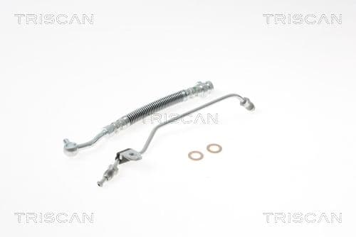 Furtun frana TRISCAN 8150 18229