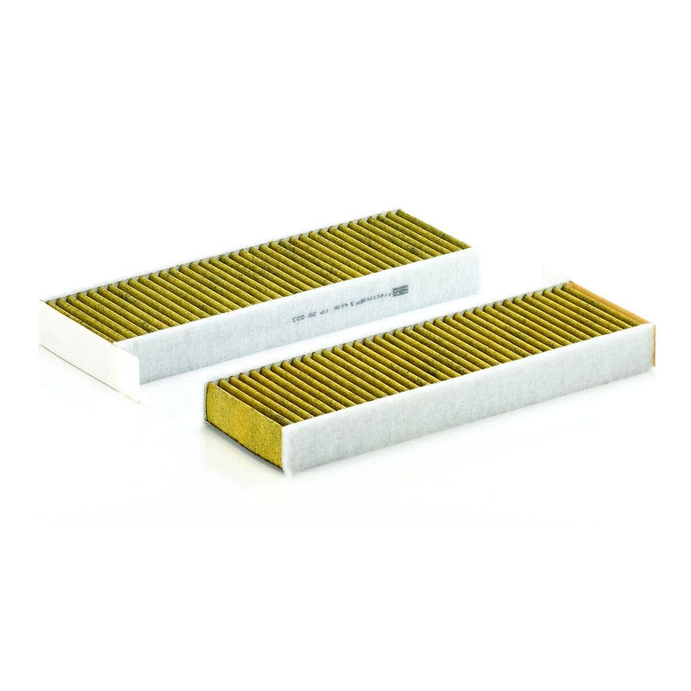 Filtru, aer habitaclu MANN-FILTER FreciousPlus FP 29 003-2