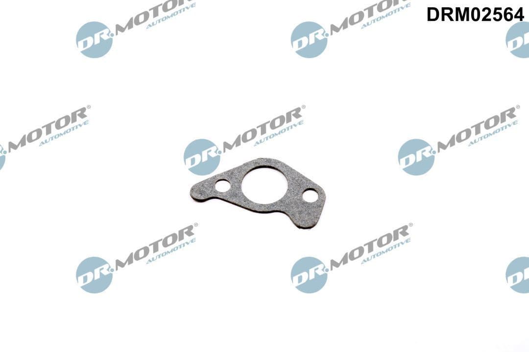 Etansare, pompa ulei Dr.Motor Automotive DRM02564