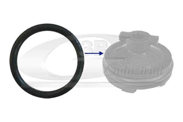 Inel etansare, surub drena ulei 3RG 84238