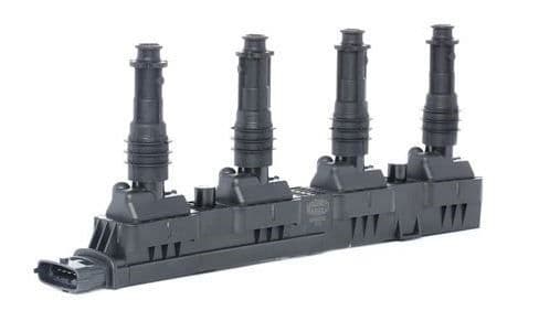 bobina de inductie MTR 12191224