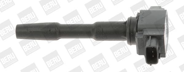 bobina de inductie BorgWarner (BERU) ZSE131