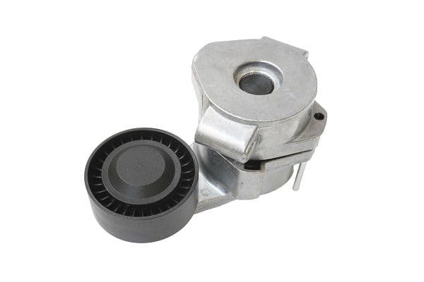 intinzator,curea transmisie ASAM AUTOMOTIVE 101287