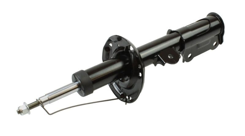 amortizor MAXGEAR 11-1613