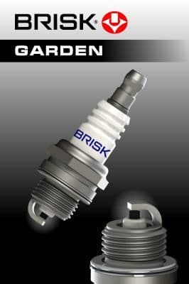 Bujie BRISK PR15Y CLASSIC 3022
