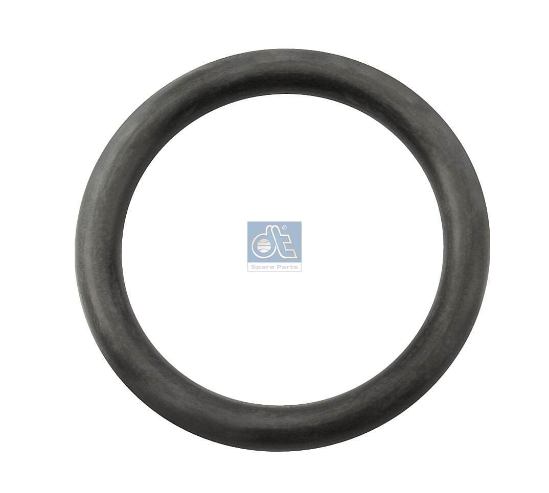inel de etansare,saboti frana DT Spare Parts 4.20300