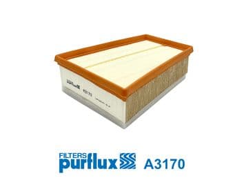 Filtru aer PURFLUX A3170