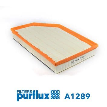 Filtru aer PURFLUX A1289