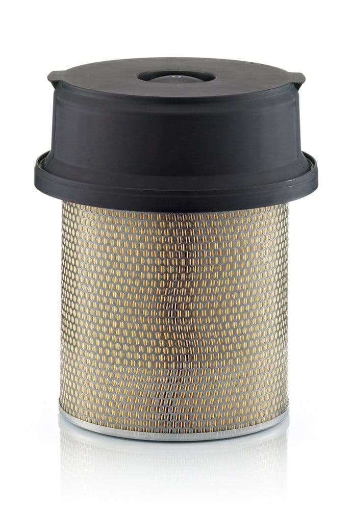 Filtru aer MANN-FILTER C 29 1219/1