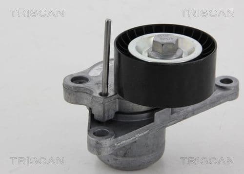 Intinzator curea, curea distributie TRISCAN 8641 103040