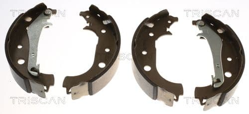 Set saboti frana TRISCAN 8100 16016