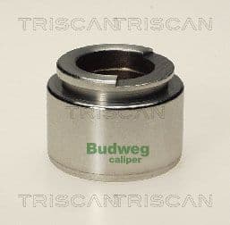 Piston, etrier frana TRISCAN 8170 234007