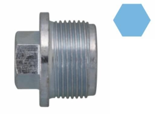 surub de golire,baia de ulei CORTECO 220076H