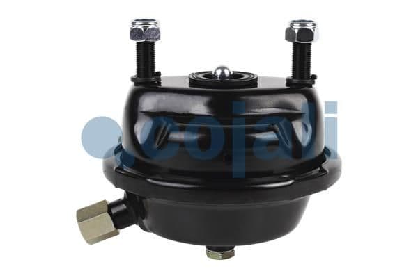 Cilindru receptor frana cu membrana COJALI 2351322