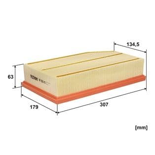 Filtru aer FILTRON AP 093/8