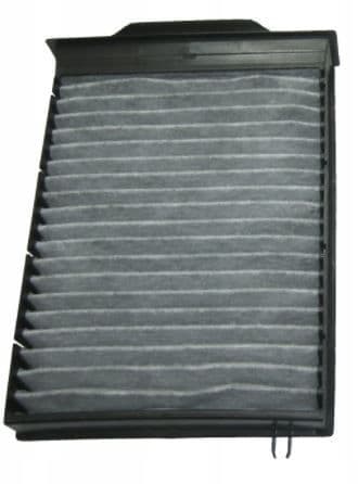 Filtru, aer habitaclu MTR 12111802