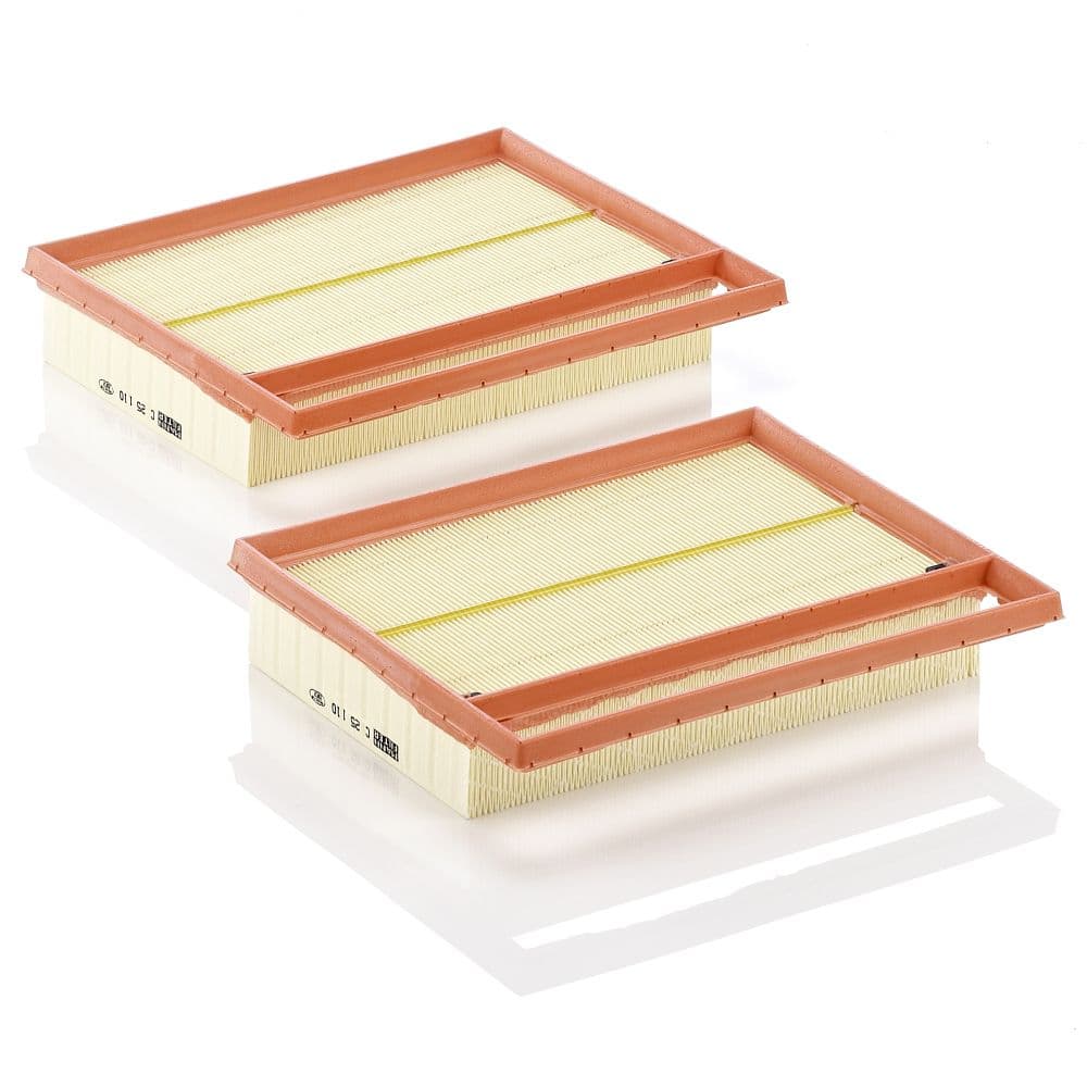 Filtru aer MANN-FILTER C 25 110-2