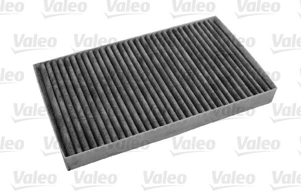Filtru, aer habitaclu VALEO PROTECT 698872