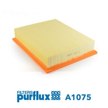 Filtru aer PURFLUX A1075