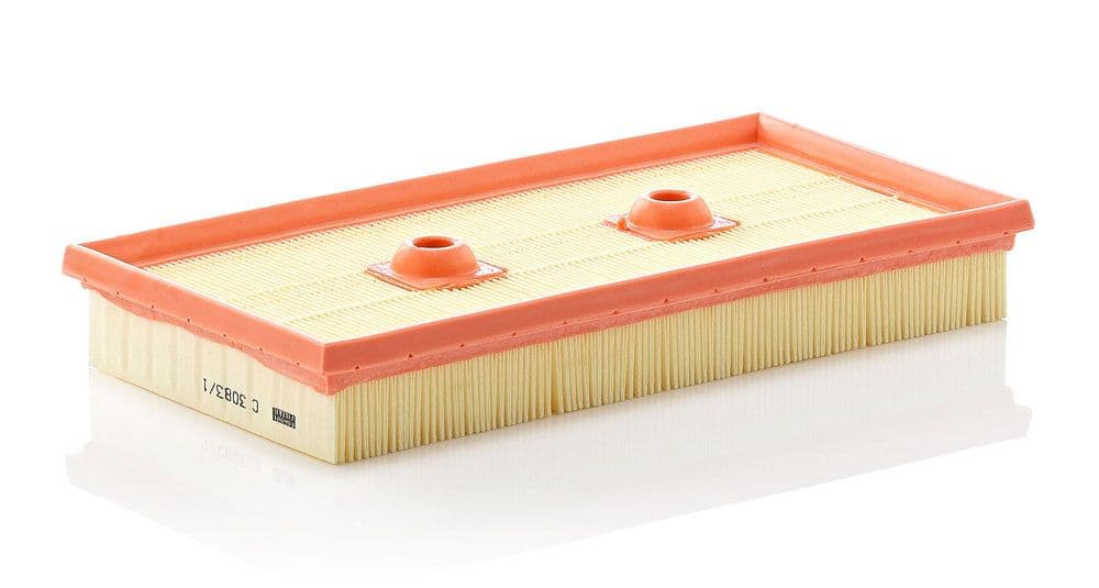 Filtru aer MANN-FILTER C 3083/1