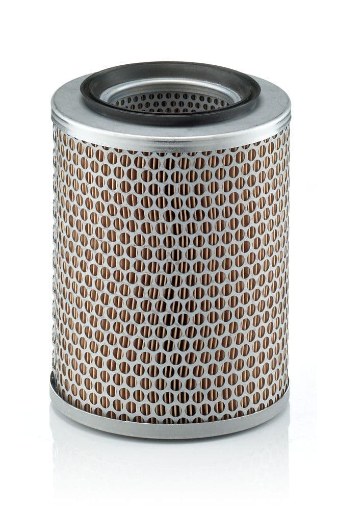Filtru aer MANN-FILTER C 17 134
