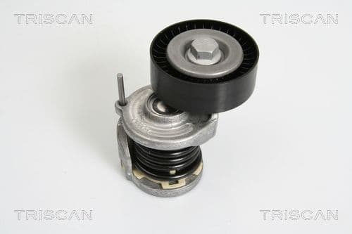Intinzator curea, curea distributie TRISCAN 8641 293021
