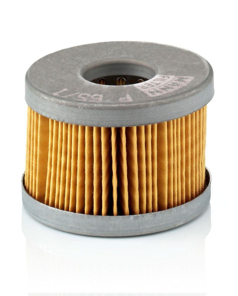 filtru combustibil MANN-FILTER P 65/1 x