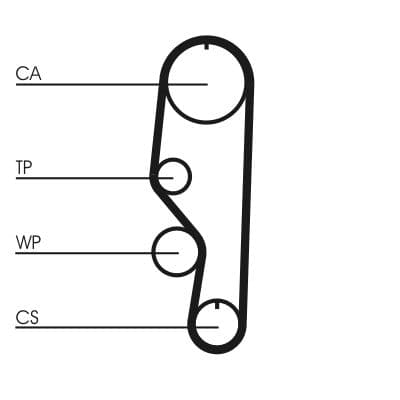 Curea de distributie CONTINENTAL CTAM CT557