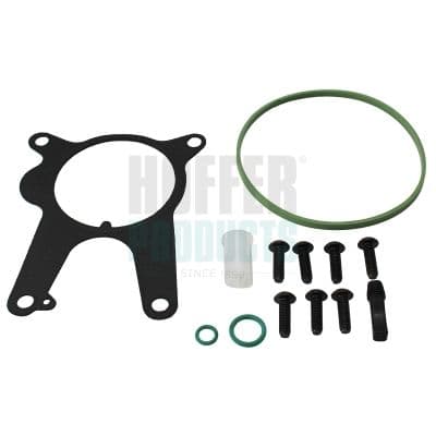 Set reparatie, pompa vacuum (Siste frana) HOFFER 91249