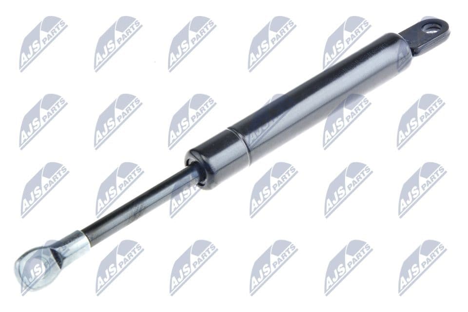 Amortizor gaz, pavilion NTY AE-BM-039