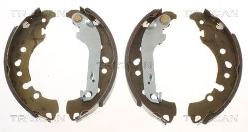 Set saboti frana TRISCAN 8100 16633