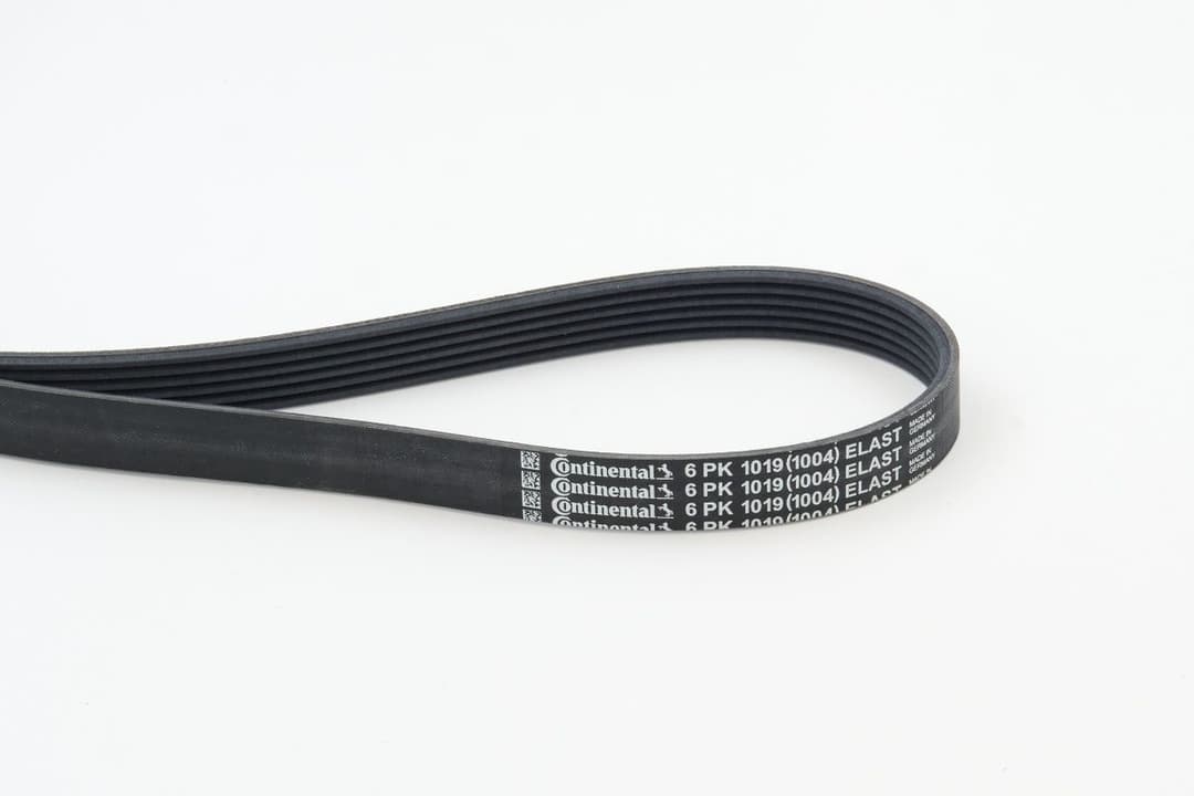 Curea transmisie cu caneluri CONTINENTAL CTAM 6PK1019 ELAST