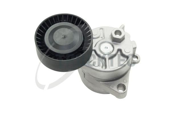 Intinzator curea, curea distributie TRUCKTEC AUTOMOTIVE 08.19.005