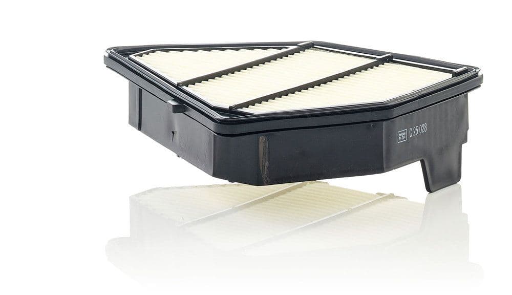 Filtru aer MANN-FILTER C 25 028