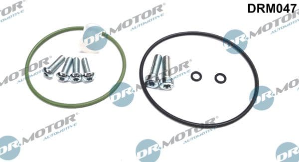 Set reparatie, pompa vacuum (Siste frana) Dr.Motor Automotive DRM047