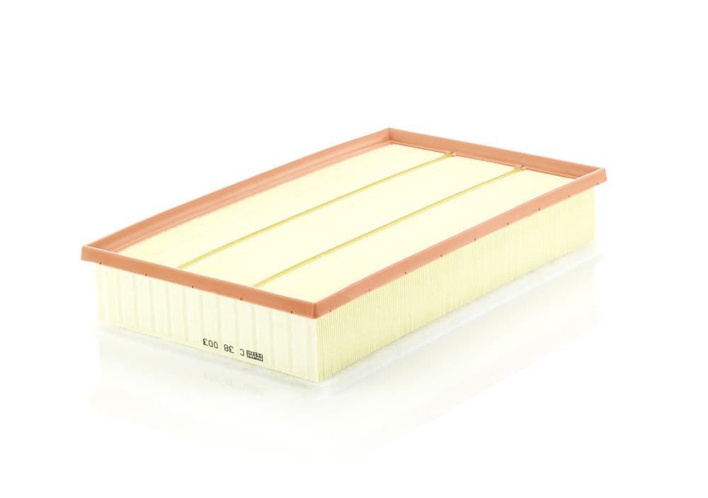 Filtru aer MANN-FILTER C 38 003