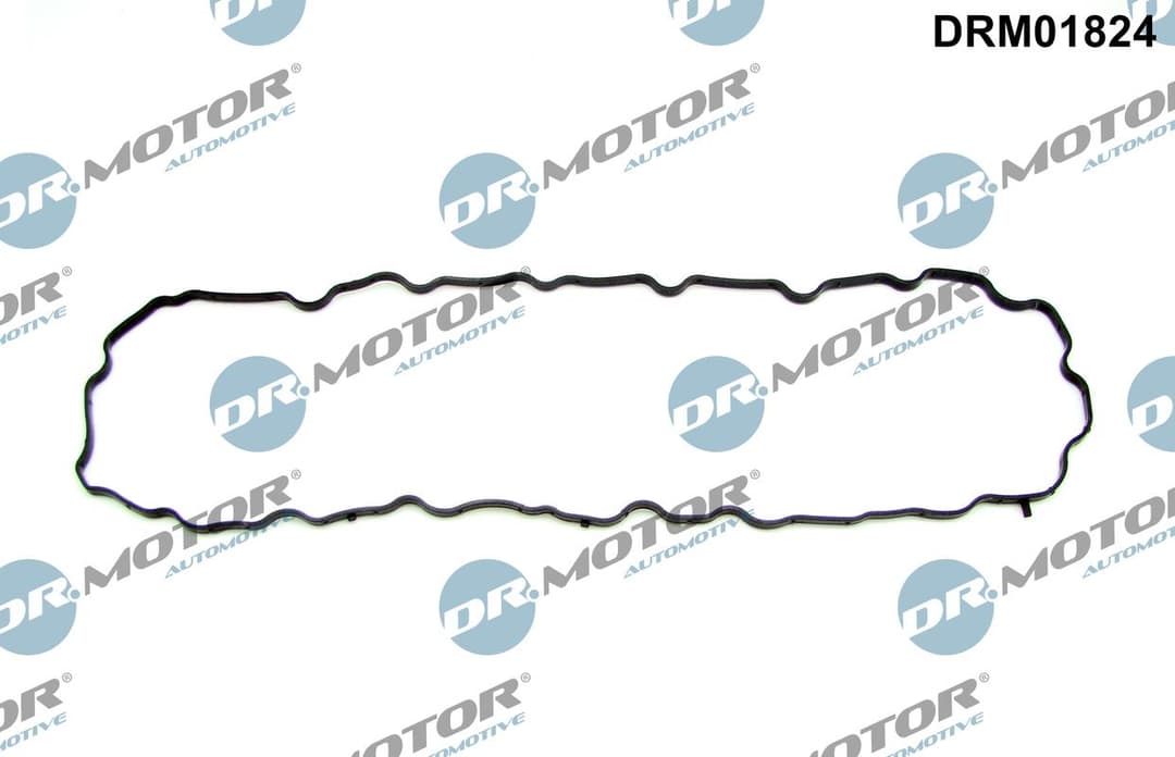 Garnitura baie ulei Dr.Motor Automotive DRM01824
