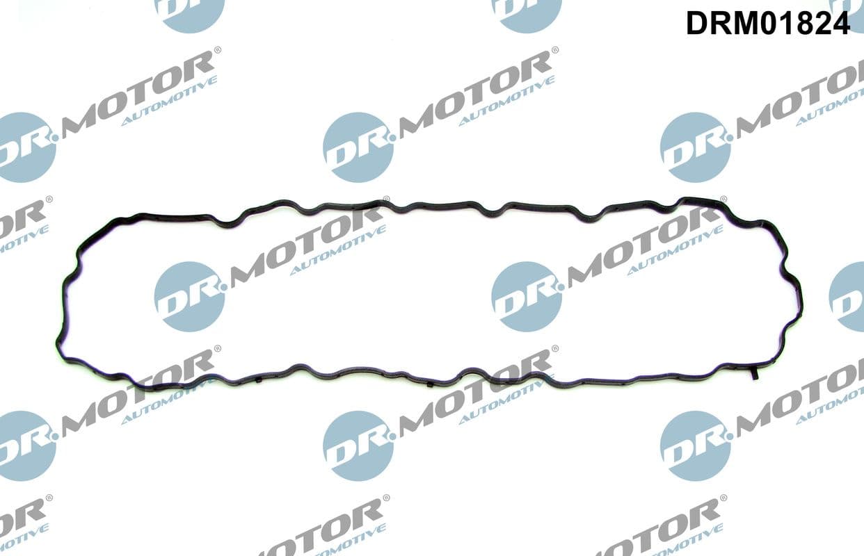 Garnitura baie ulei Dr.Motor Automotive DRM01824