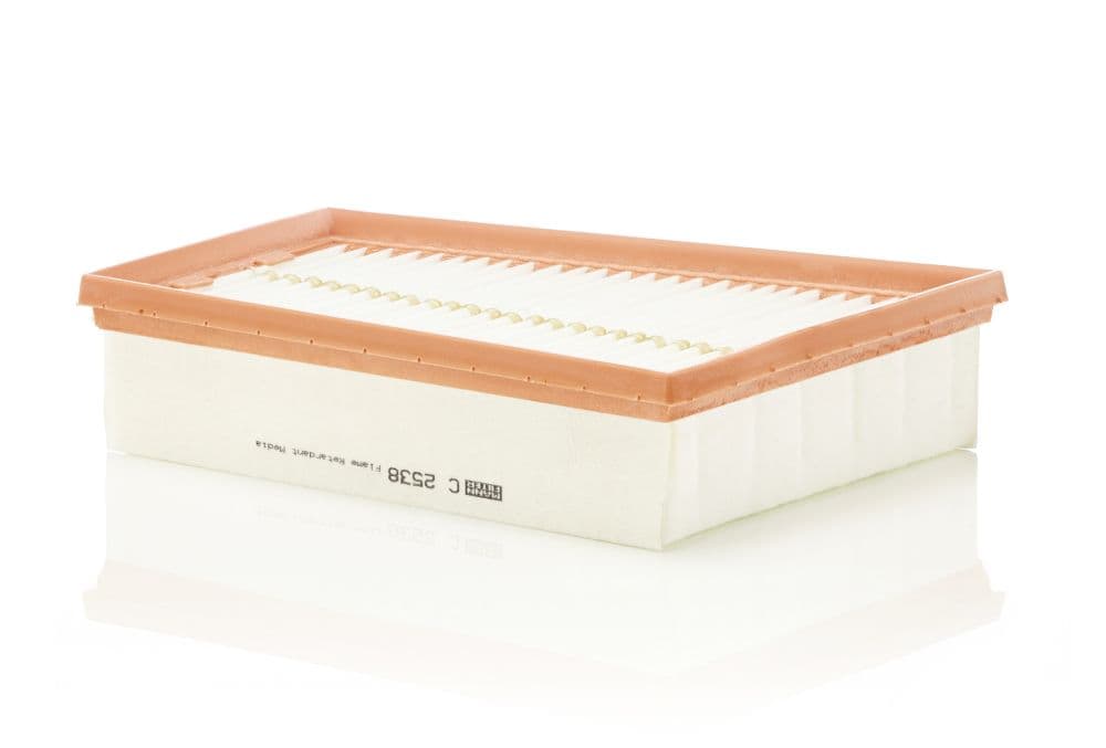 Filtru aer MANN-FILTER C 2538