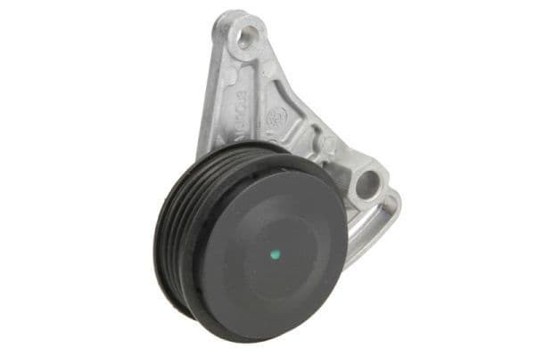 Intinzator curea, curea distributie BTA E3W0021BTA