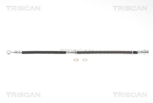 Furtun frana TRISCAN 8150 10111
