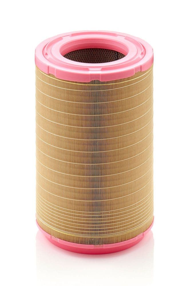 Filtru aer MANN-FILTER C 31 1254