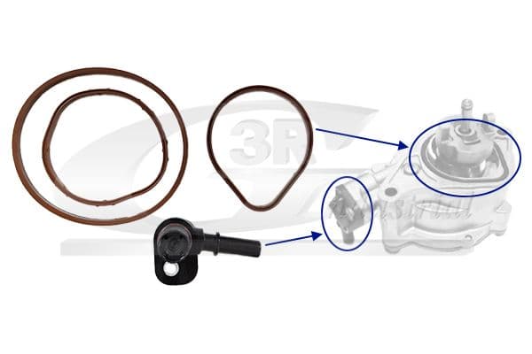 Set reparatie, pompa vacuum (Siste frana) 3RG 74801
