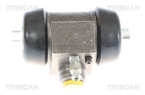 Cilindru receptor frana TRISCAN 8130 17003