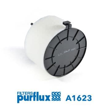 Filtru aer PURFLUX A1623