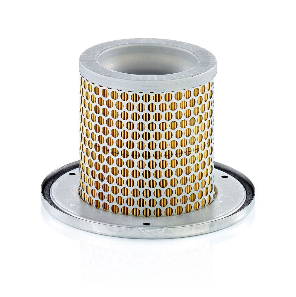 Filtru aer secundar MANN-FILTER C 1342 KIT