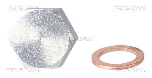surub de golire,baia de ulei TRISCAN 9500 2404